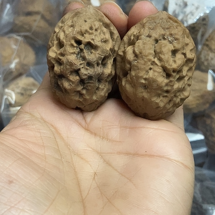 把件文玩核桃云南铁核桃基地28