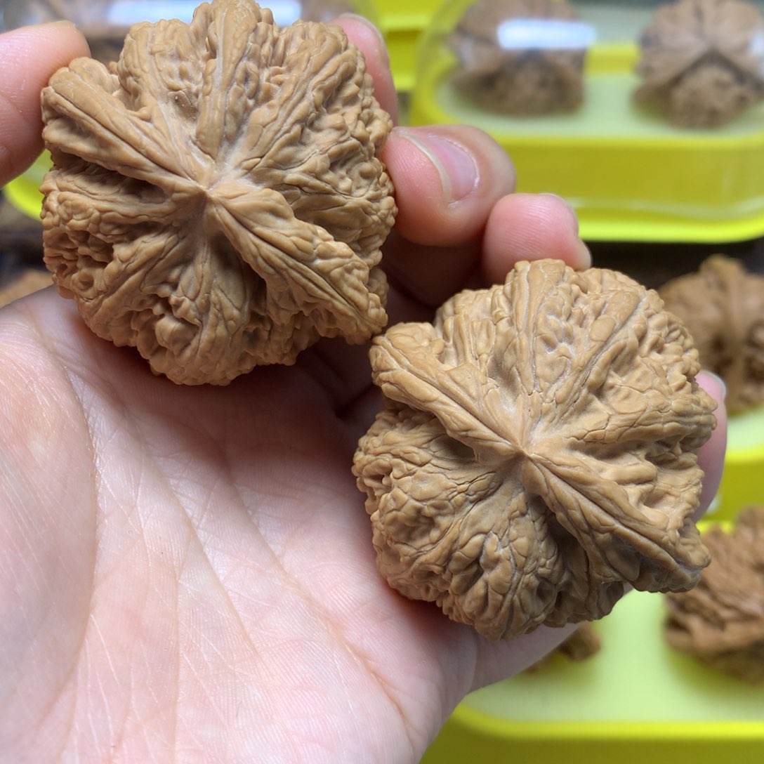 文玩核桃把件48粗筋全品