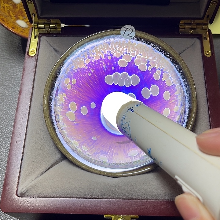 茶盏乐乐乐乐乐乐乐乐乐乐