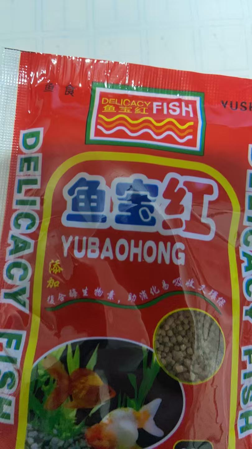 冷水鱼金鱼饲料鱼宝红
