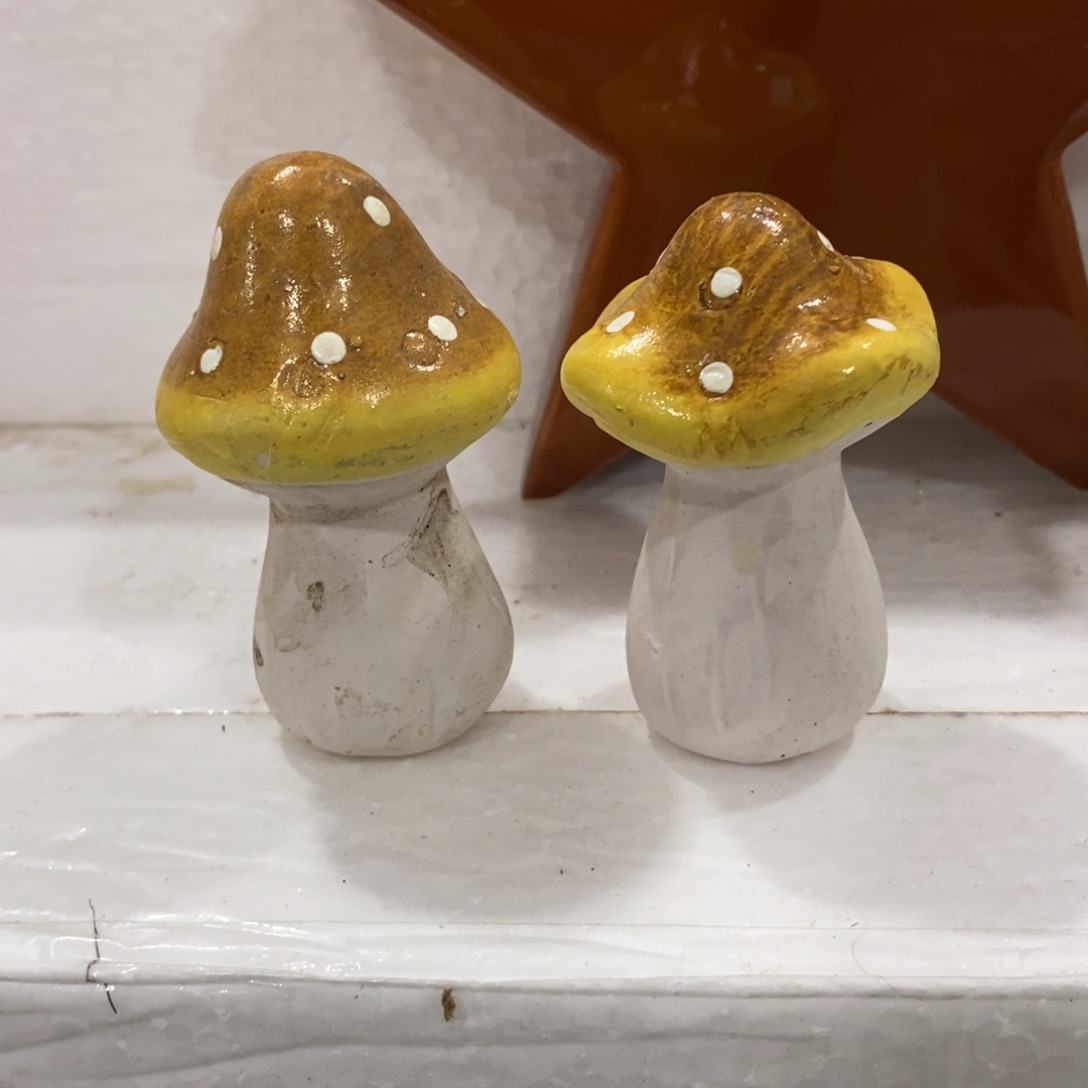 瓷片不退不换看好下单谢谢