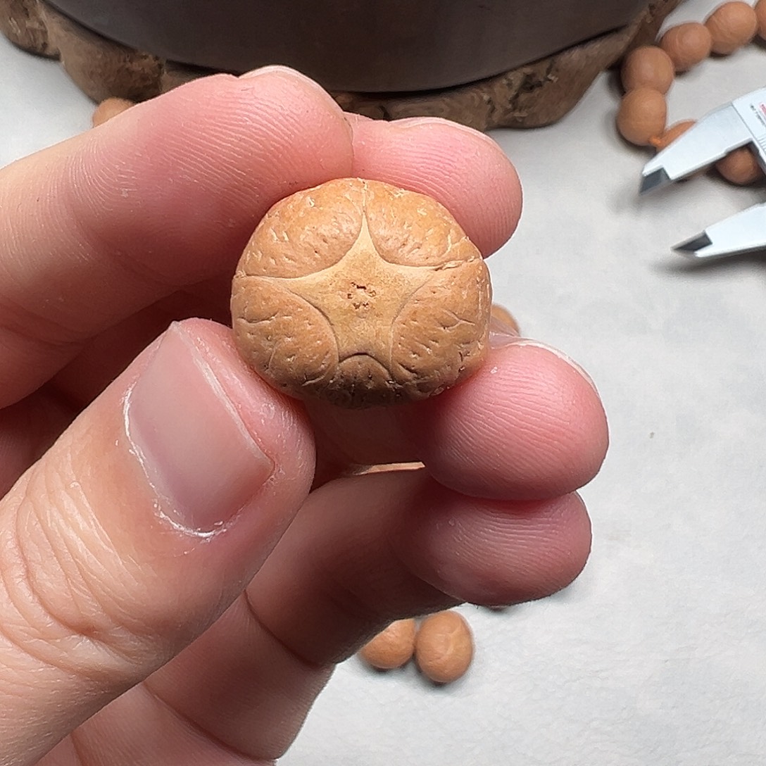 037五星三通20.8mm