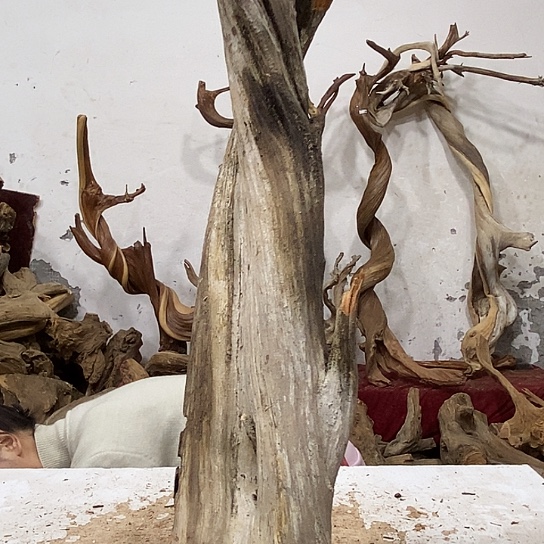 壹***堂柏木我们都是好孩子