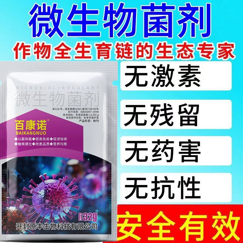 金弹子病专用剂金弹子炭疽病黑斑病叶子发黄蔓枯病干尖剂
