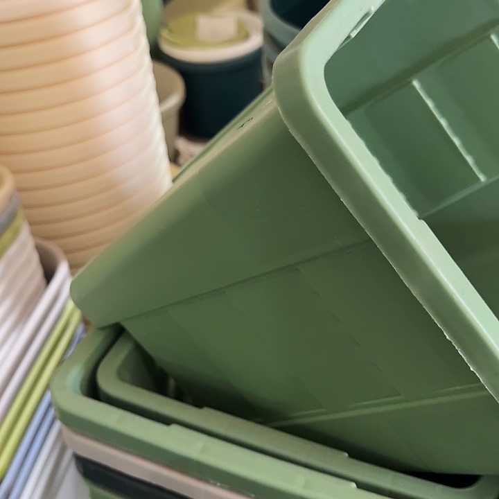 编号303果绿无托6个