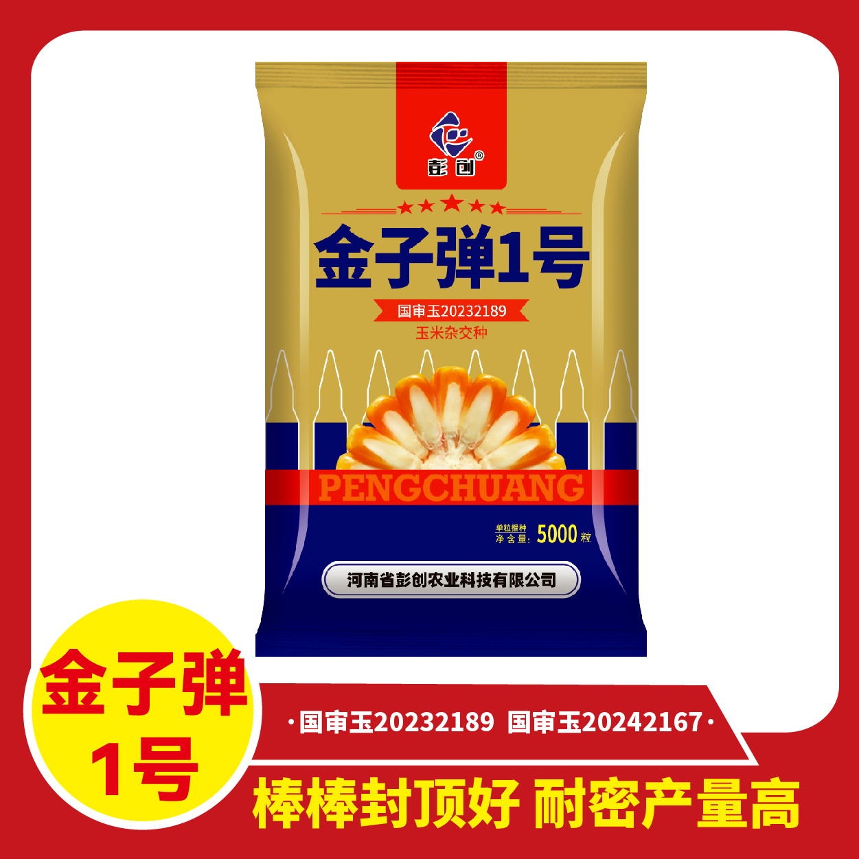 【金子弹1号】核弹头一粒封顶高产玉米种子矮杆玉米种籽抗倒抗病强