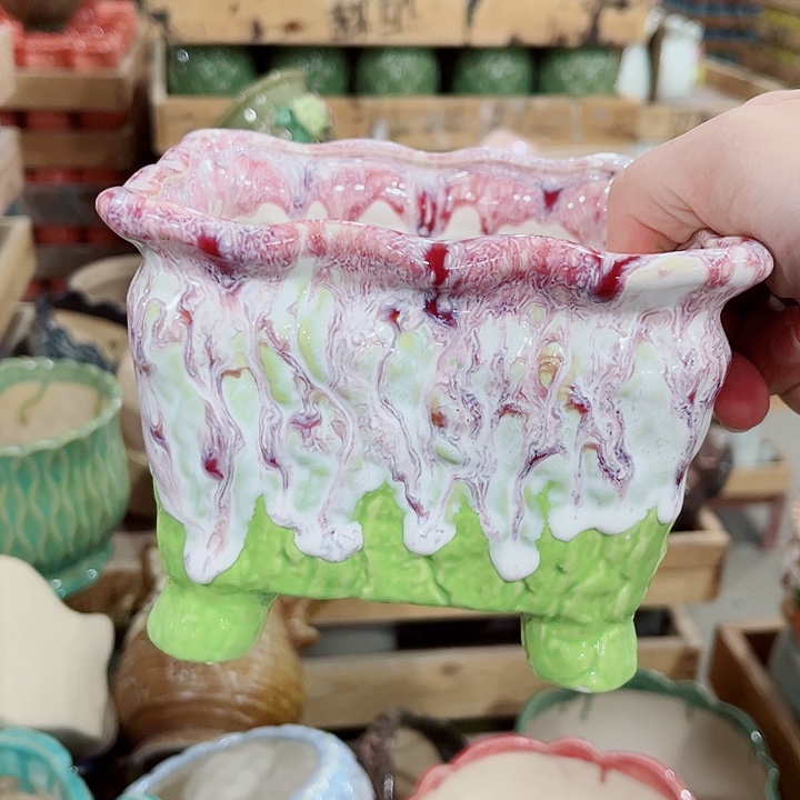 多肉植物陶瓷花盆