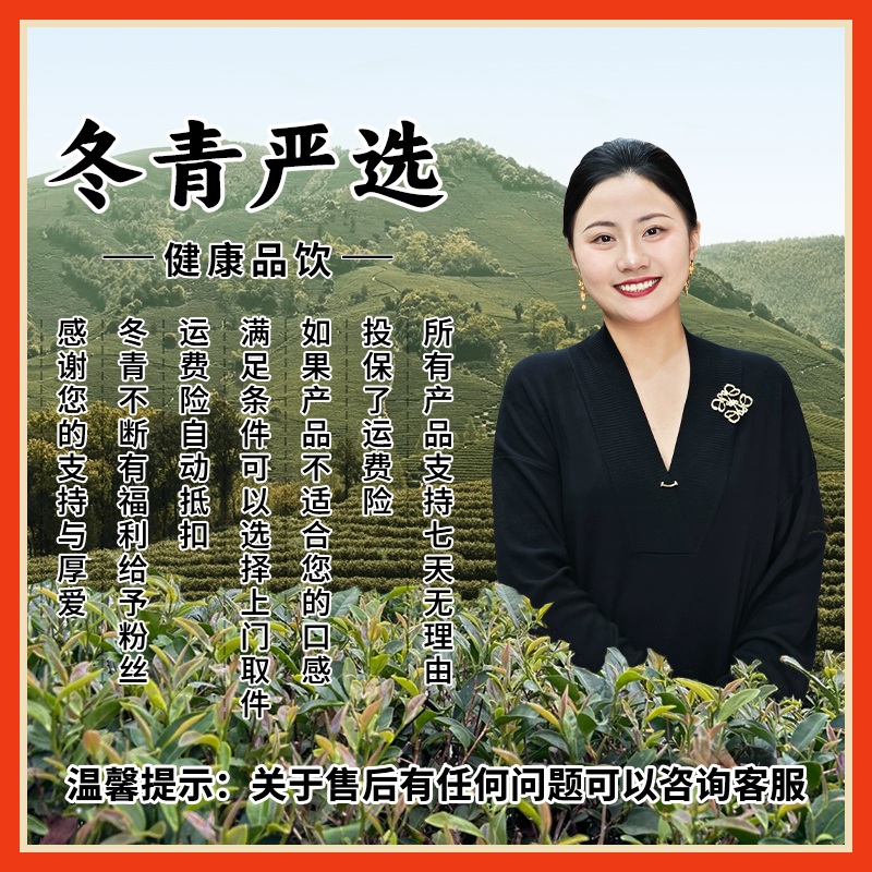 木兰围场金莲花 朵朵精品 换季必备 清甜可口 冬青收茶 