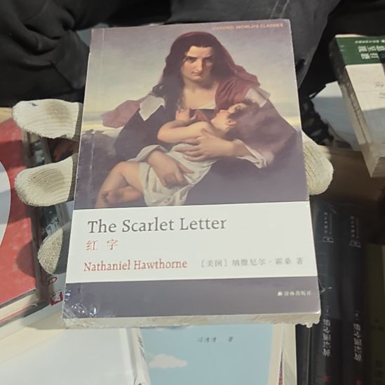 红字平装库存书英文书