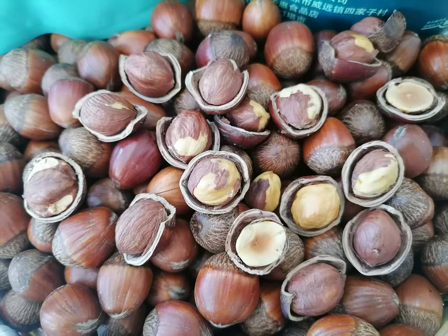 [玉田专属]东北特产大果熟榛子，2斤3斤5斤送开口器