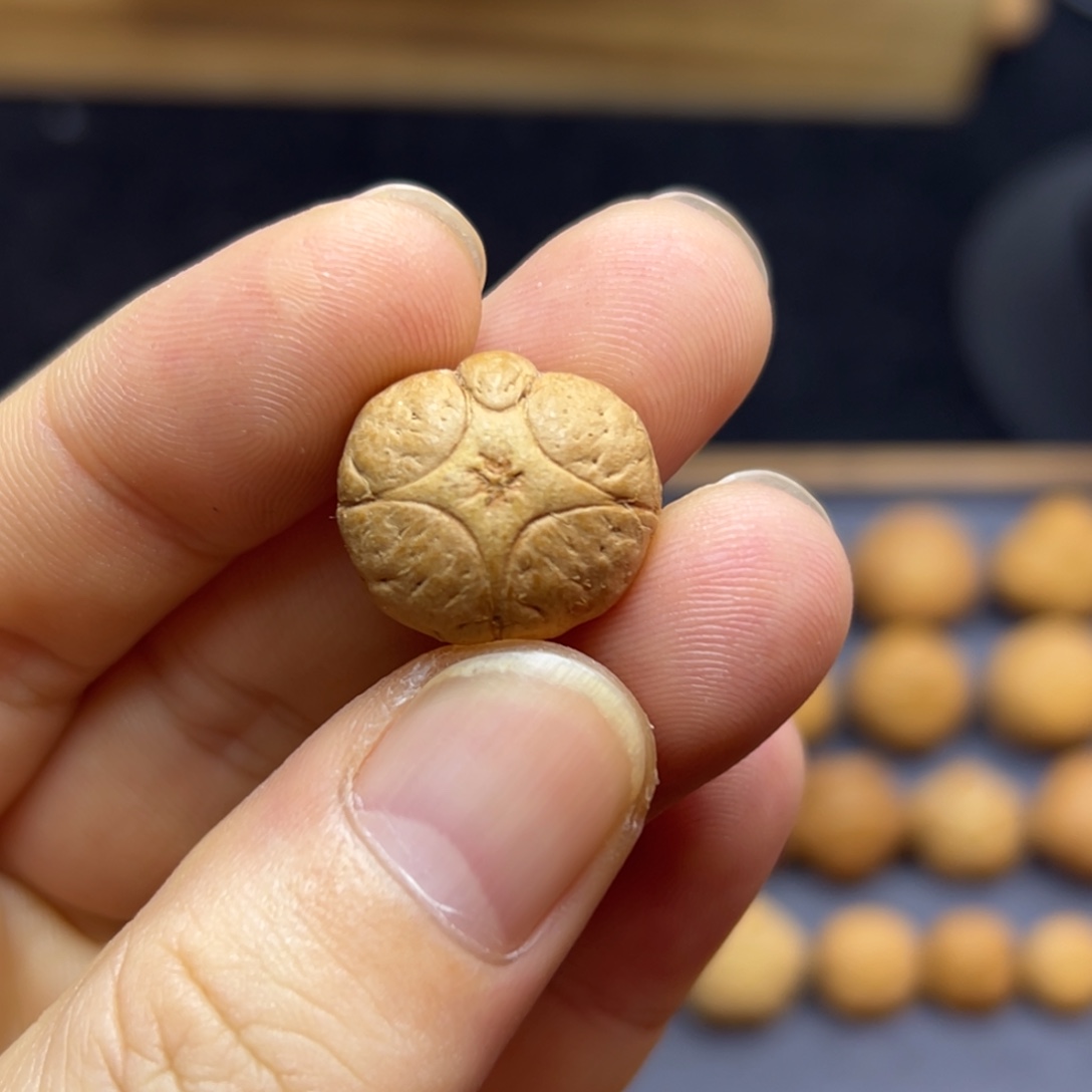 凤眼菩提手串18.5五星上将