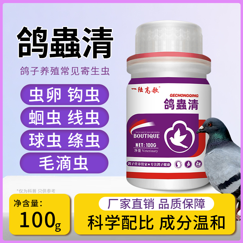 【一陆高歌】鸽爞清鸽子营养赛鸽健康使用肉鸽饮水拌料营养养殖产品