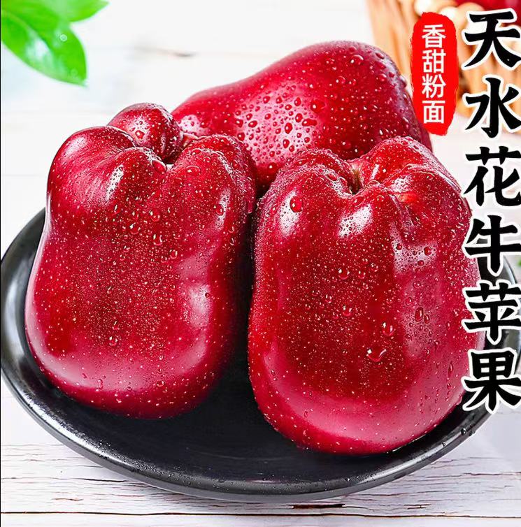 甘肃天水花牛苹果新鲜水果脆甜粉面蛇果应季现摘10斤到手20个左右