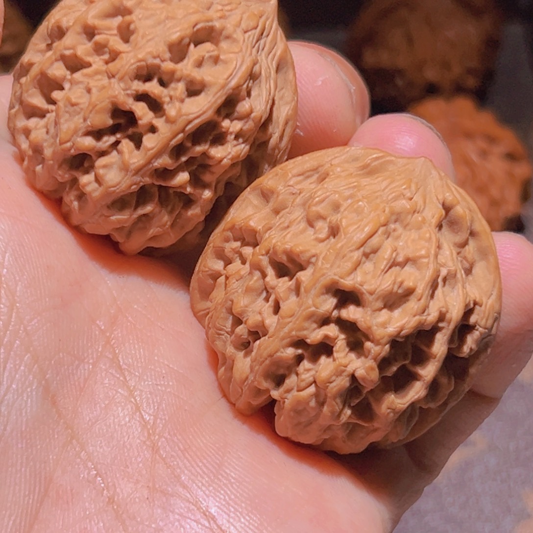 瑞麟文玩核桃山地无名野核石头