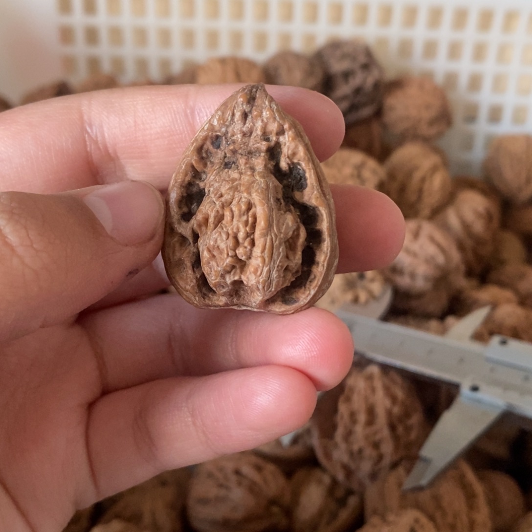 路***飞文玩核桃吊坠文玩