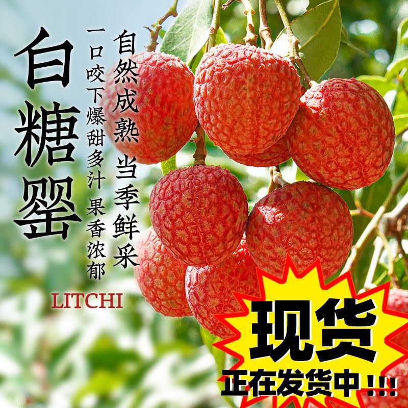 【顺丰EMS空运】现货6斤新鲜白糖罂广西灵山正宗当季水果新鲜荔枝
