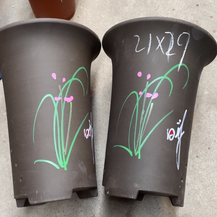 红陶紫砂紫砂紫砂