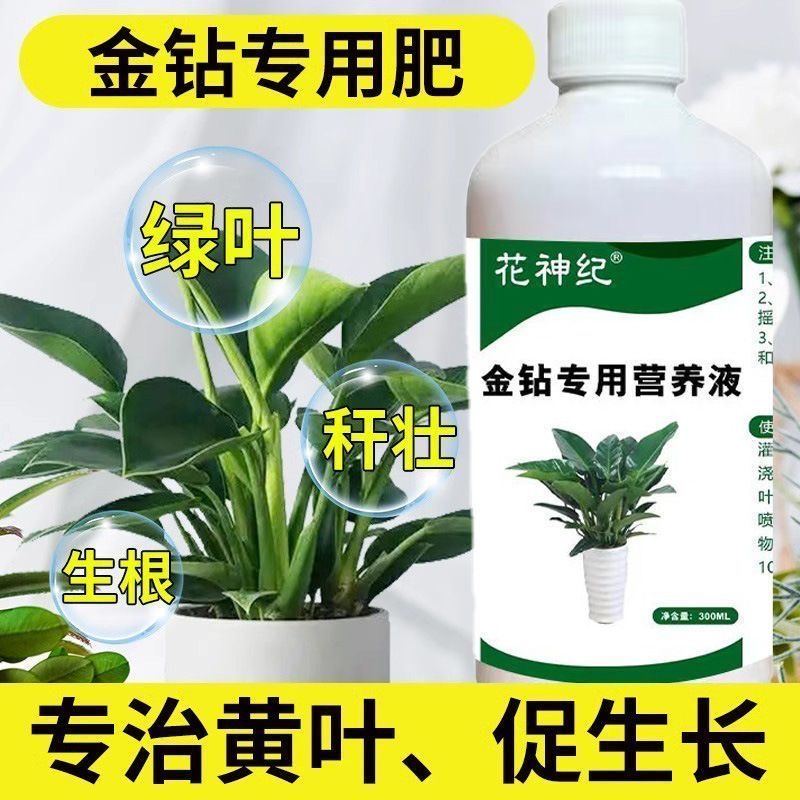 金钻营养液专用复合肥料家用养花绿钻红钻大叶绿公主商品图
