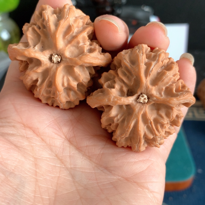 【闪购商品】核桃手串/手链42苹果园编号3381