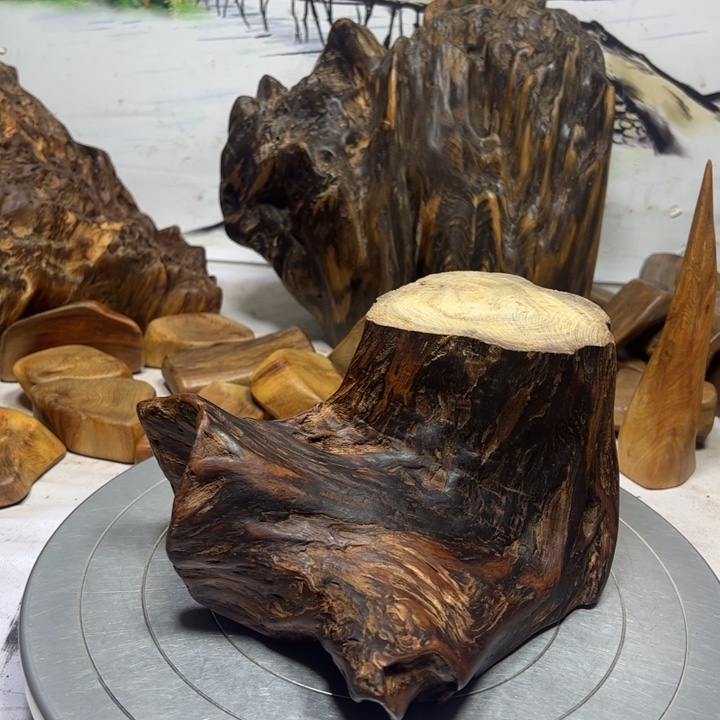 毛***海木一物一拍100摆件