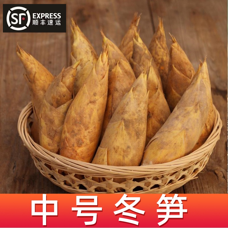 5斤装 中号冬笋 单颗2.5-4两 浙江杭州应季新鲜蔬菜顺丰包邮