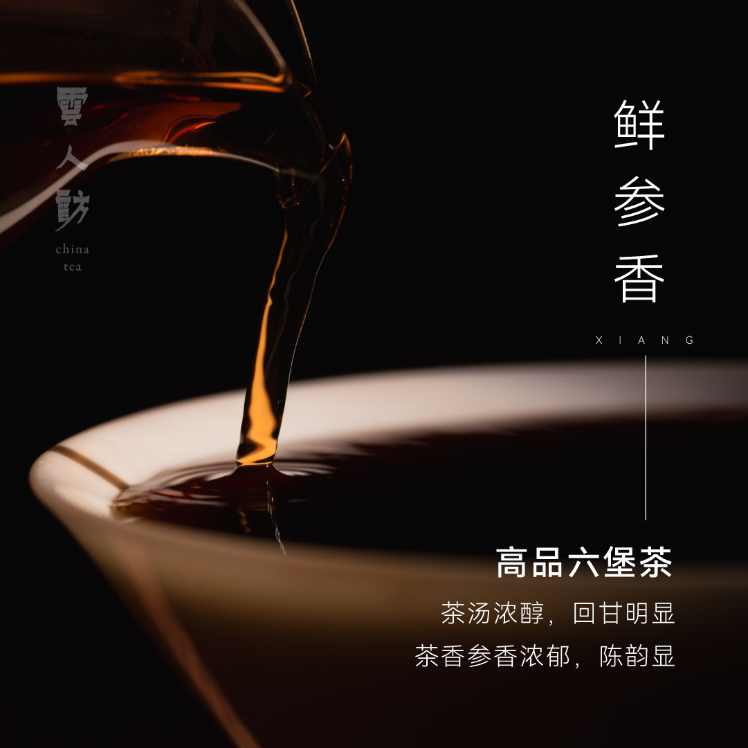 【2001鲜参香】六堡茶老六堡黑茶甜参鲜香 醇柔甘润纯净 云人访