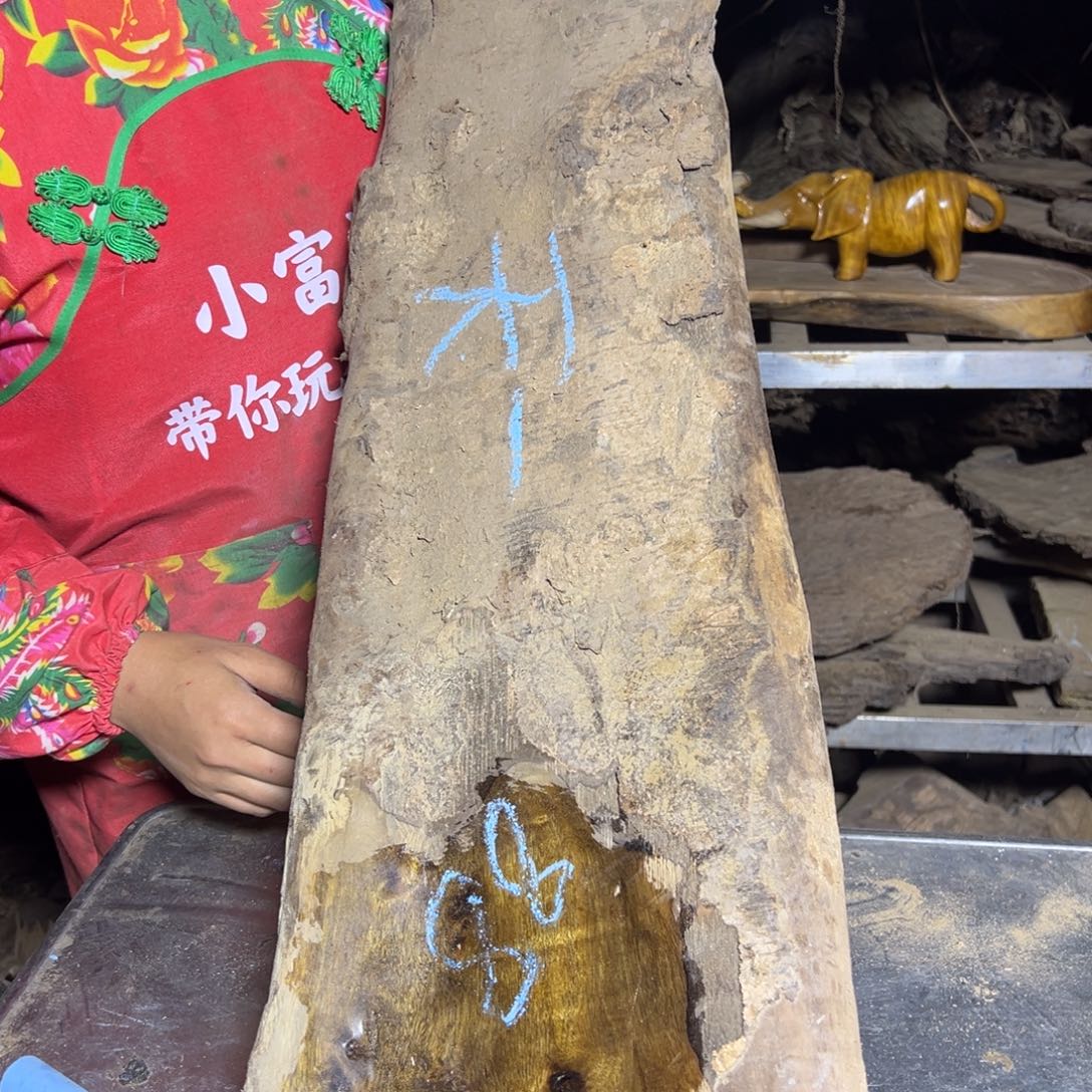 天***5金丝楠22222222222222222