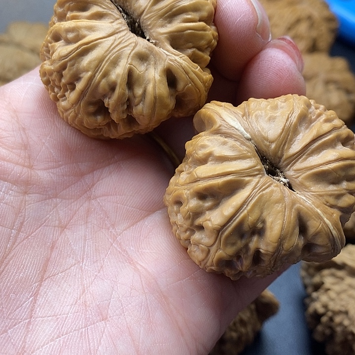 在***2吊坠龙脊菩提元宝45