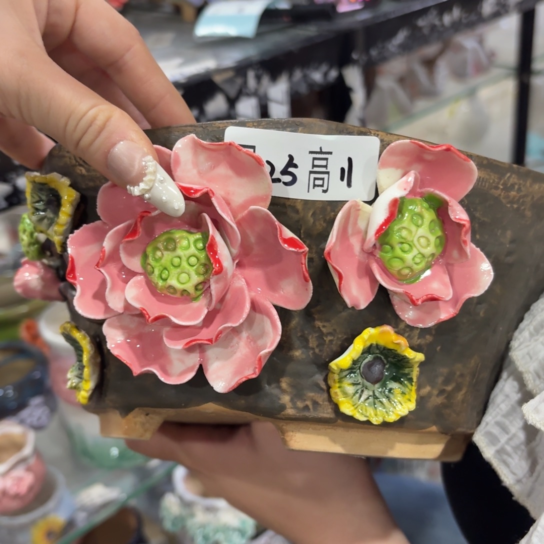 本场直播满百送个盆