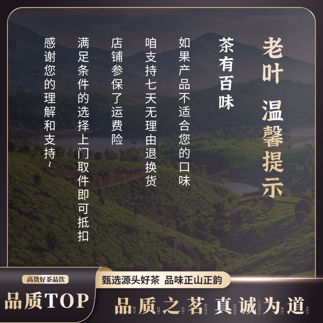 【老叶甄陈皮】2025柑桔山三十年老树青皮