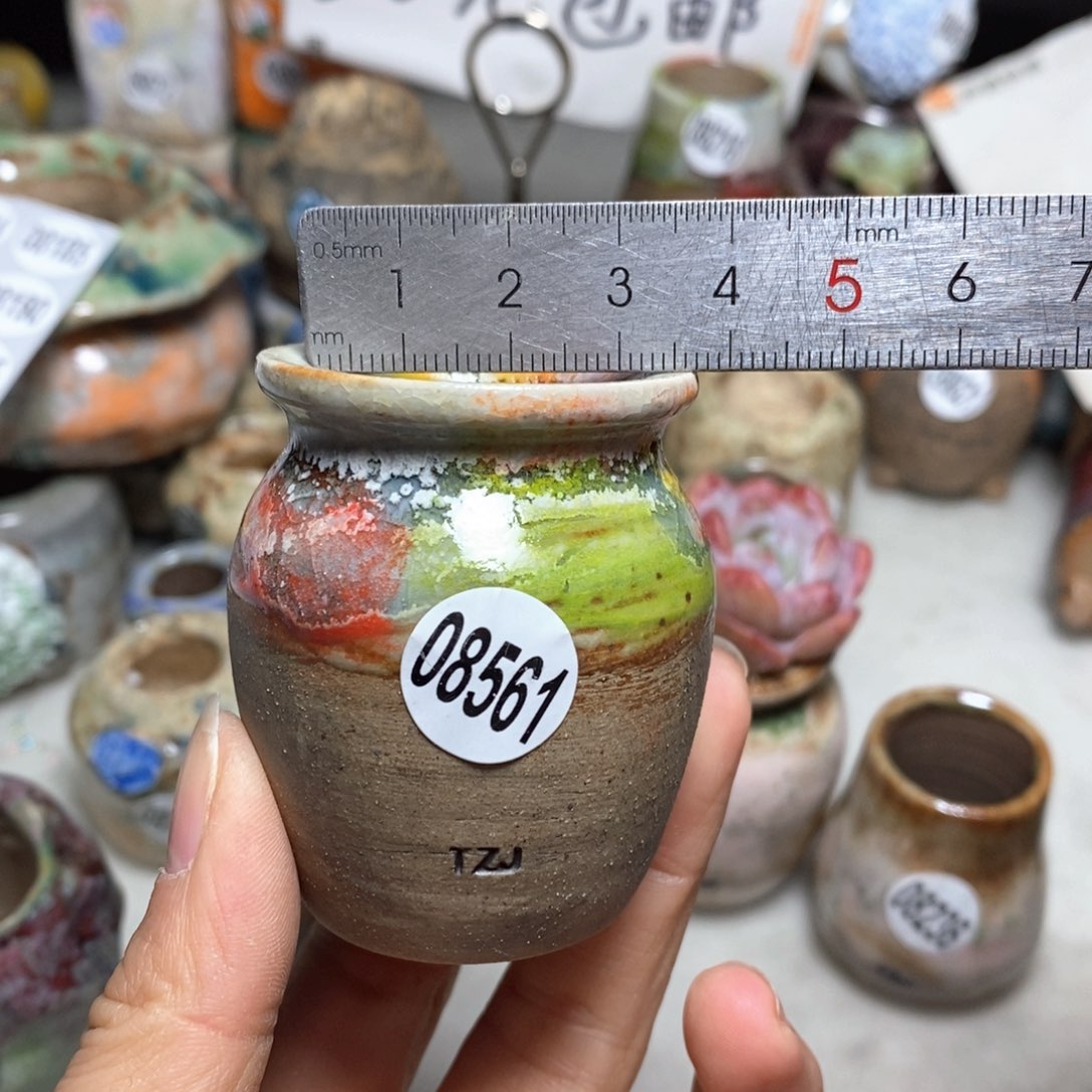 花盆拍5送一个小礼物