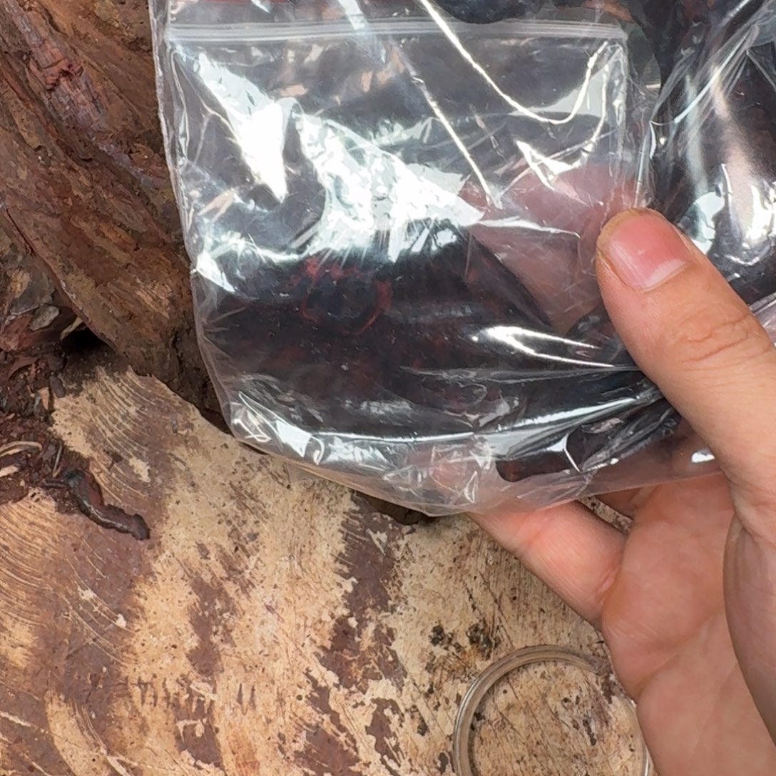 许***华黄花梨/降香黄檀把件