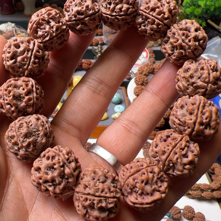 金刚菩提手串21➕安娜暴油双龙