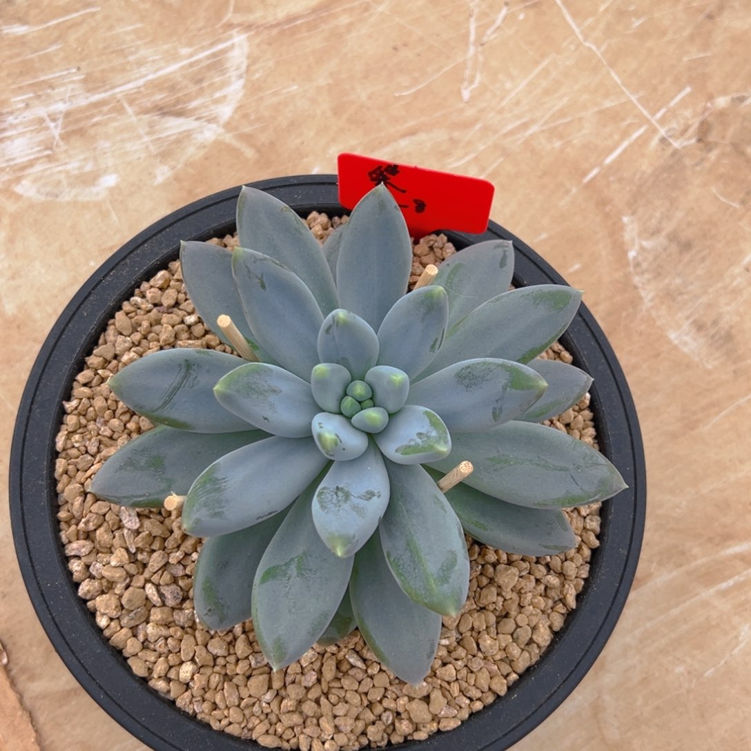 118111111111111111111