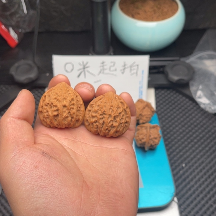 文玩核桃把件左*38金牛