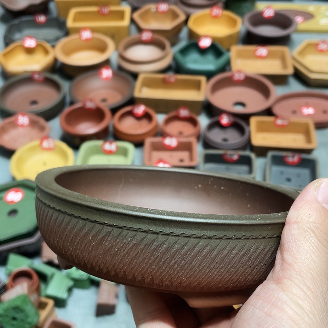 紫砂小盆12.8*3cmmm