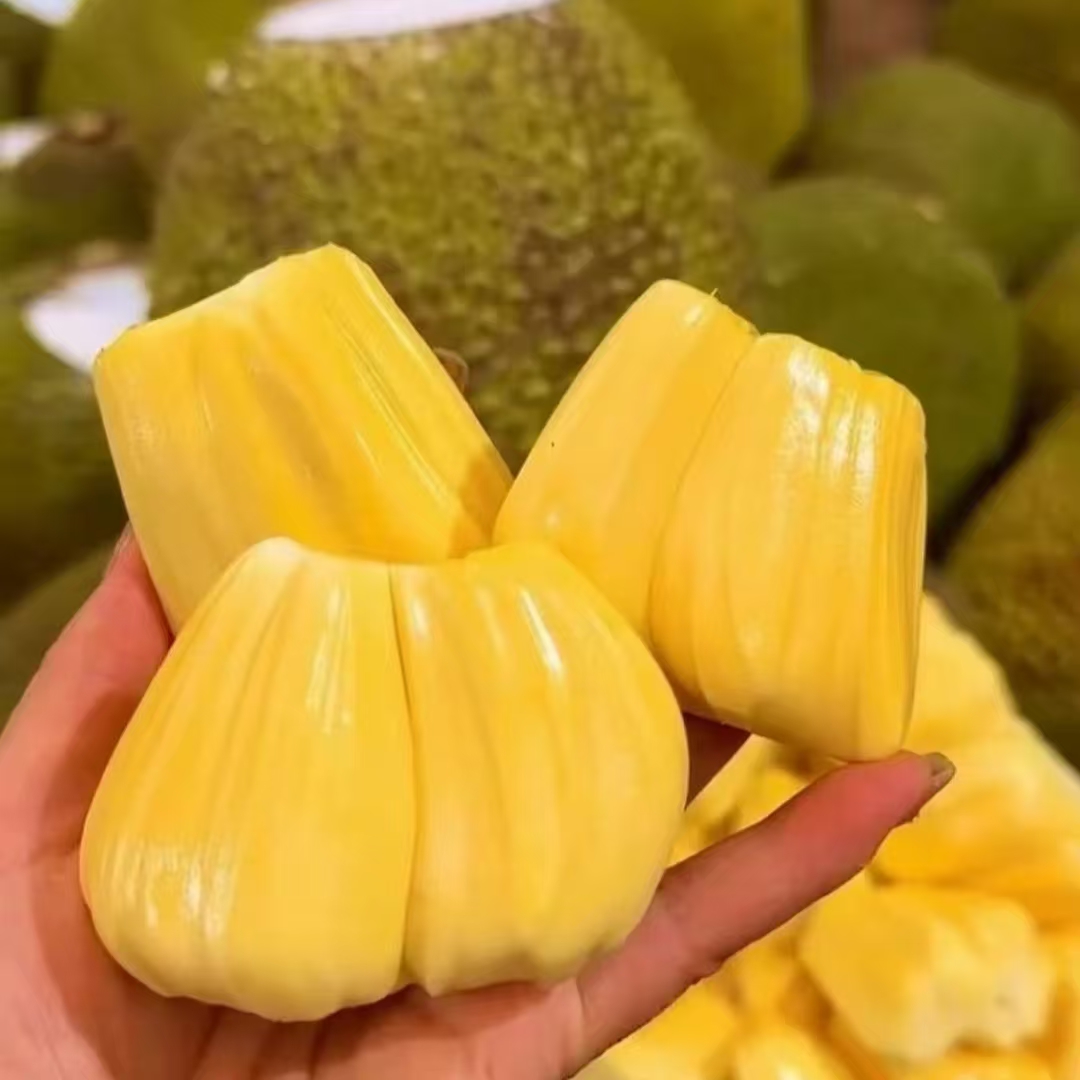 果切黄肉菠萝蜜1盒 约500g左右