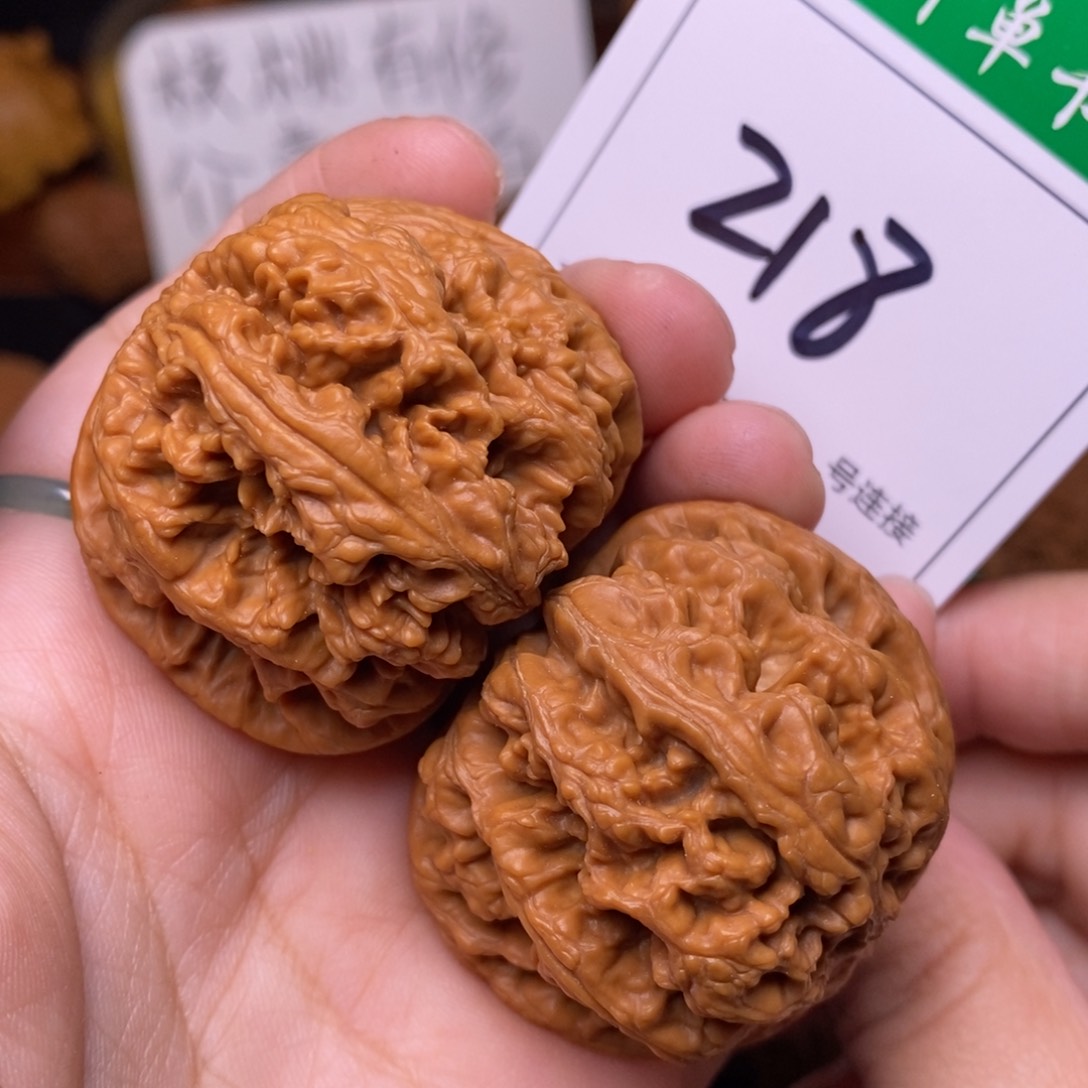 把件文玩核桃218粗筋4.3