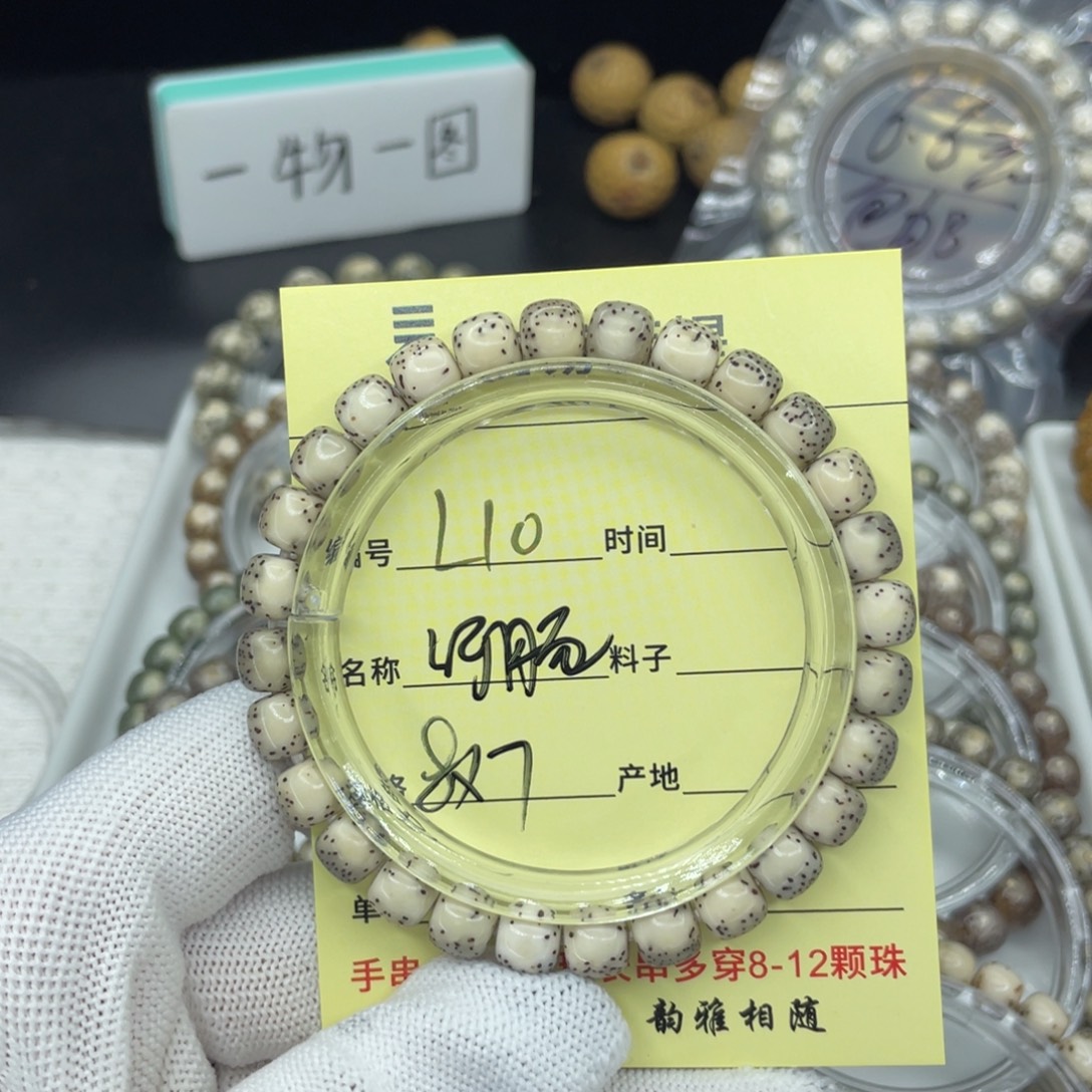 菩提籽类L糯河豚，