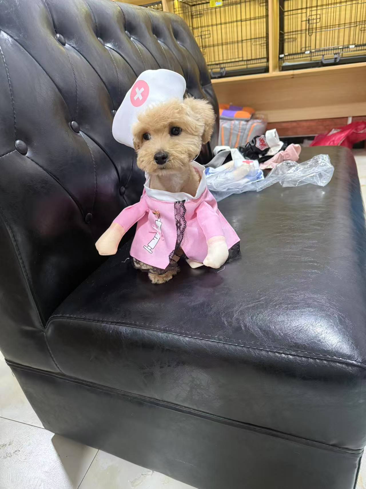 宠物变身装狗狗搞笑直立站立装 多样性COSPLAY宠物服饰萌宠装扮