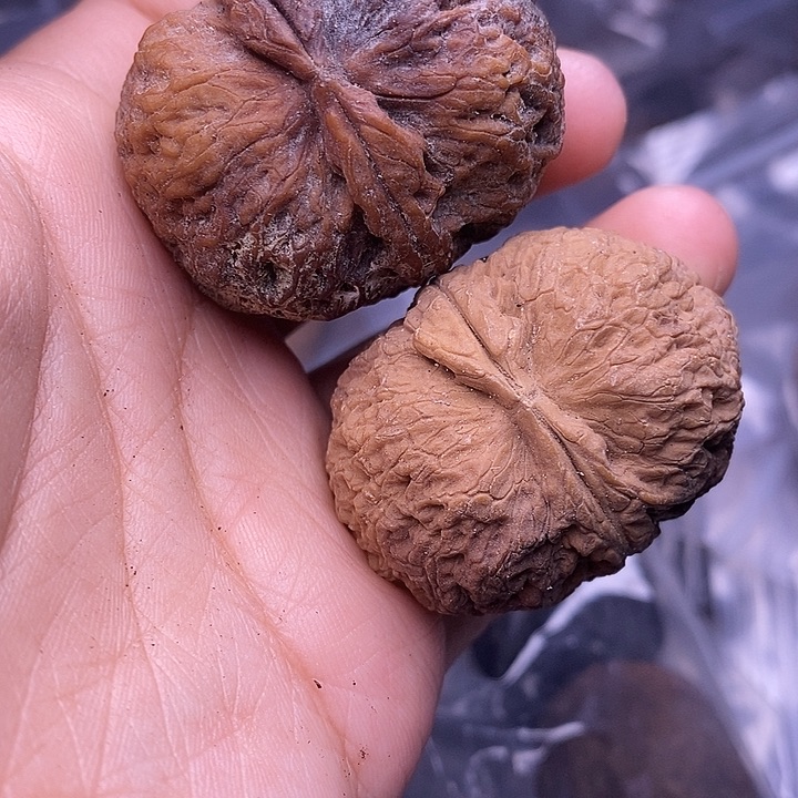 文玩核桃把件   96