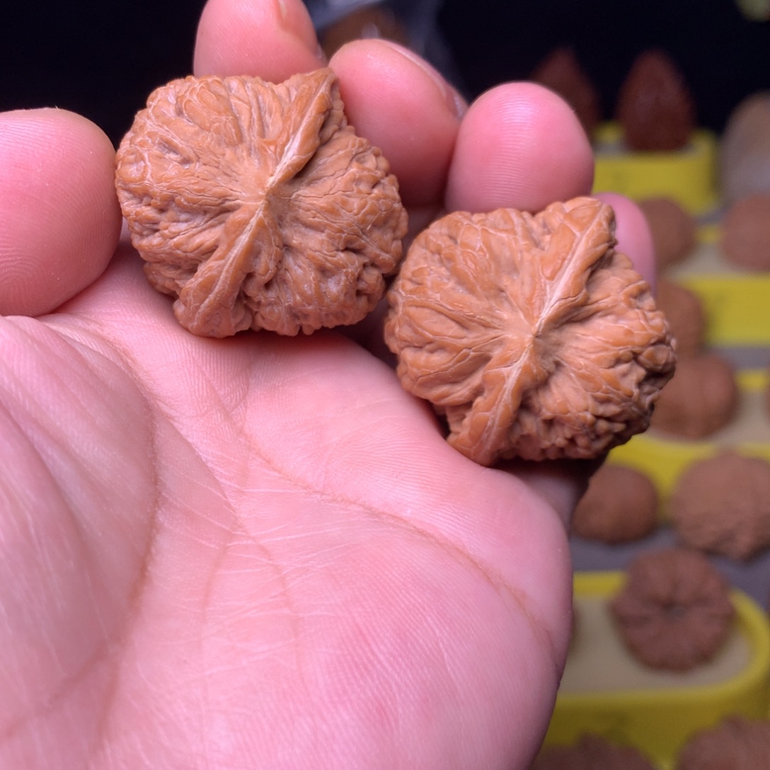 大叶紫檀（黑酸枝木类）平谷黑马