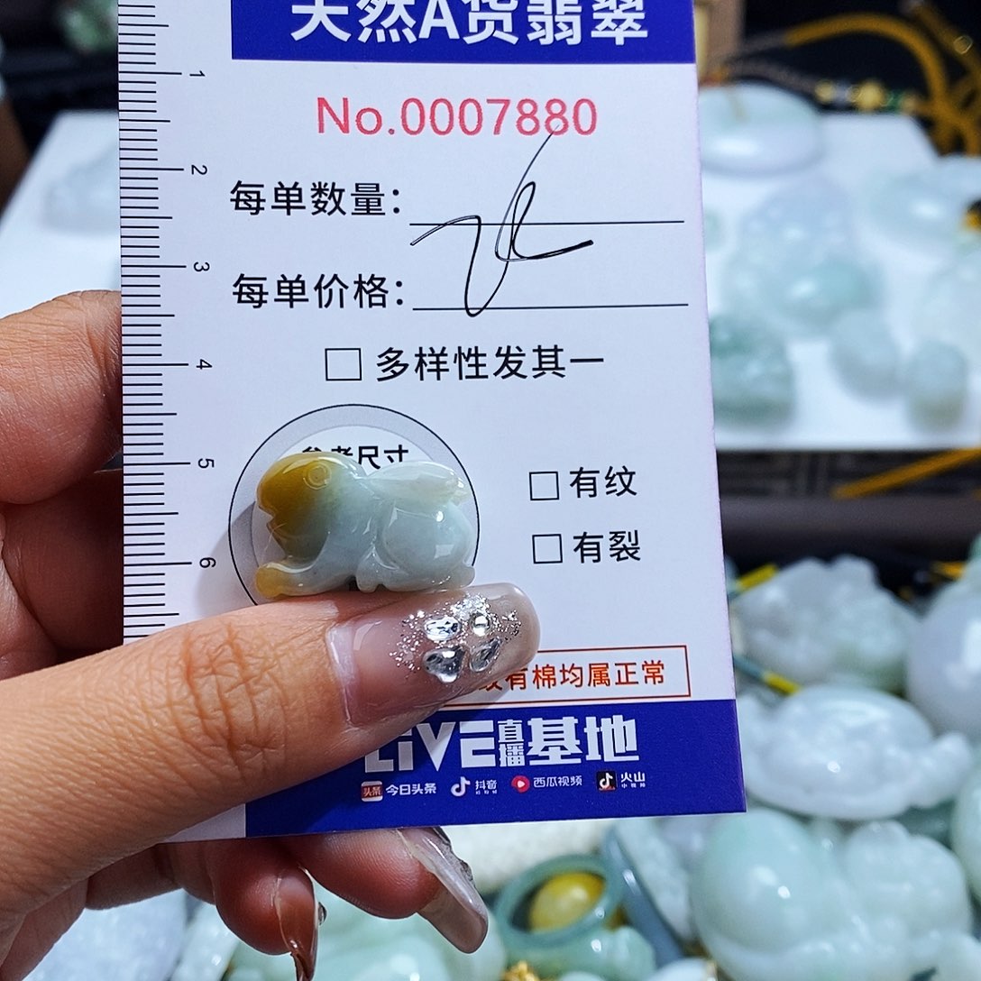 翡翠未镶嵌毛衣链7880