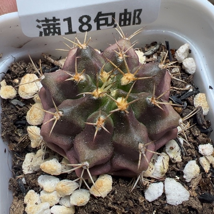 【闪购商品】 489。