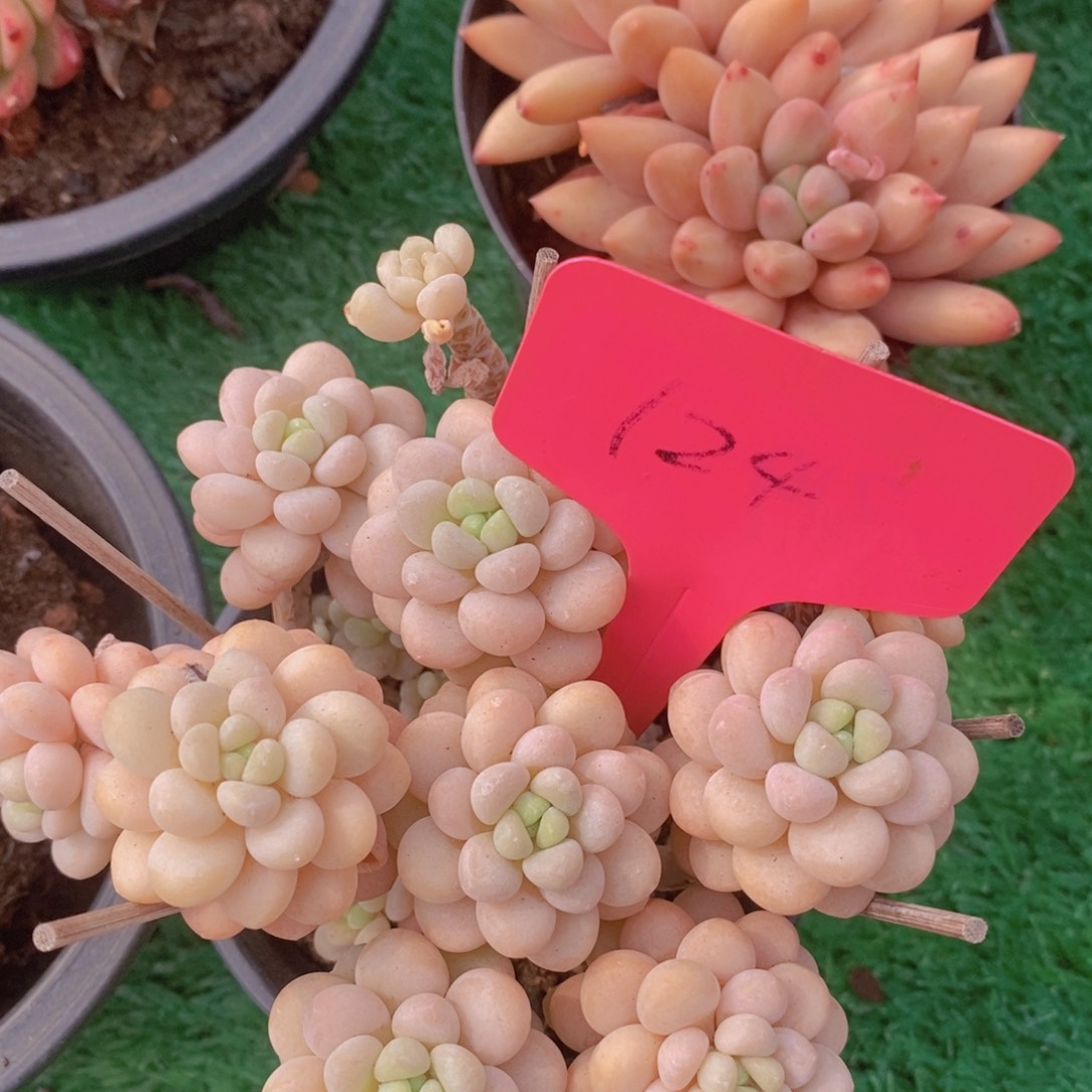 周末愉快，一单包邮