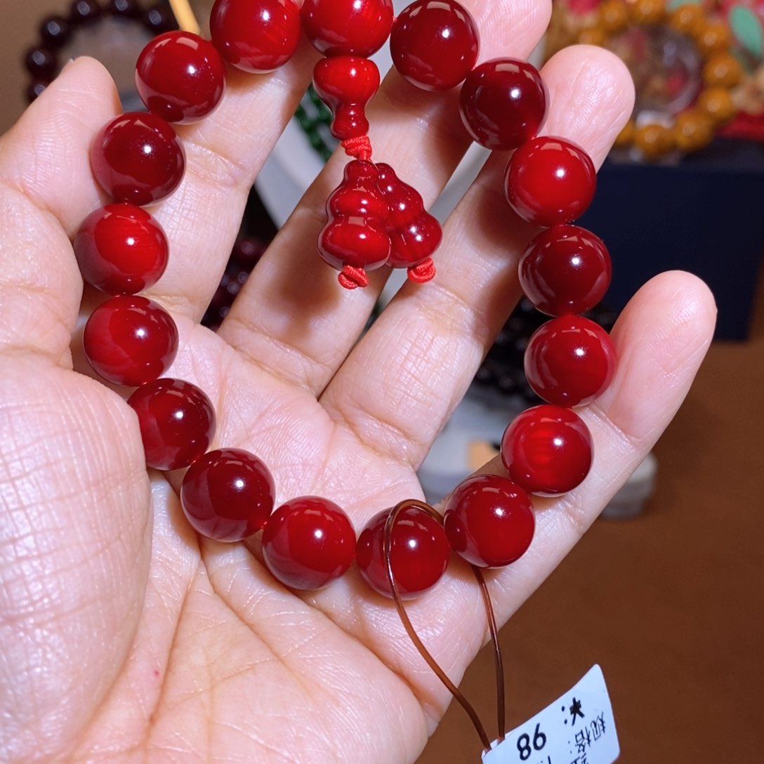 贝壳杉帝王血龙木1.2