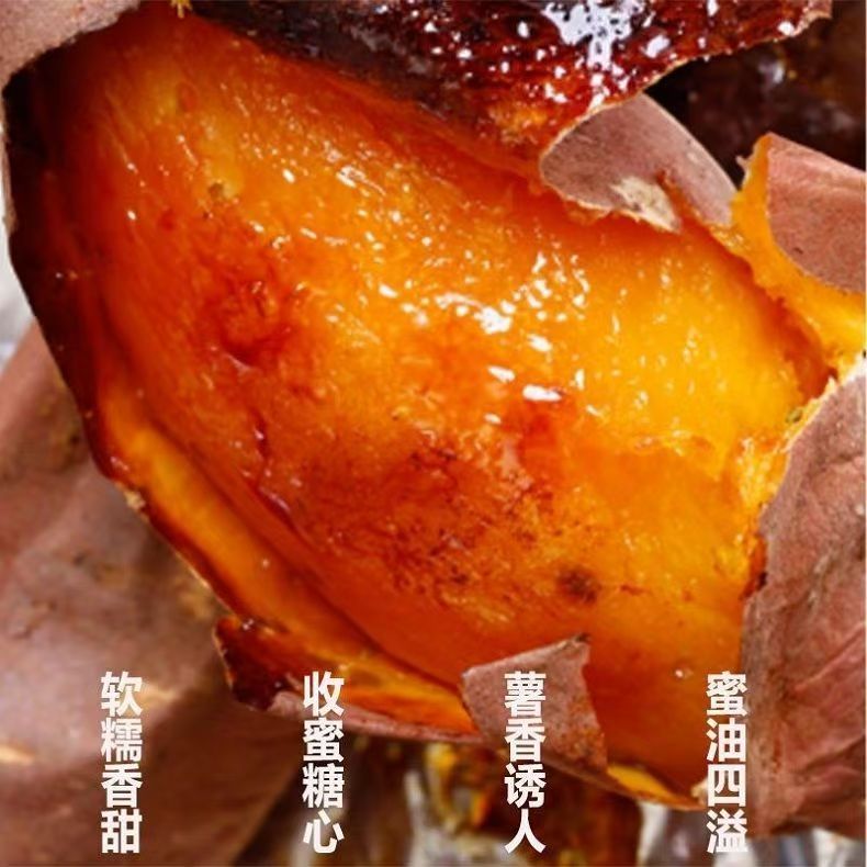 正宗烟薯25号2025年新鲜现挖红薯糖心蜜薯流油超甜蒸煮红薯烤地瓜