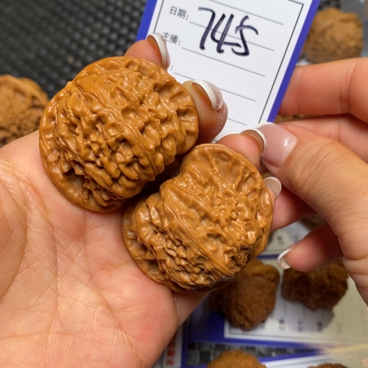 文玩核桃手串745白狮44