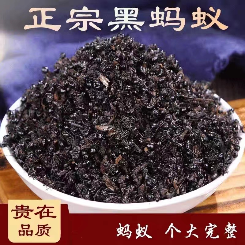 黑蚂蚁干 长白山正宗蚁拟黑多刺蚁养生泡酒料大蚁酸黑蚂蚁粉