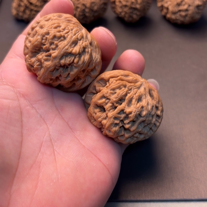 小***.大叶紫檀（黑酸枝木类）粗筋